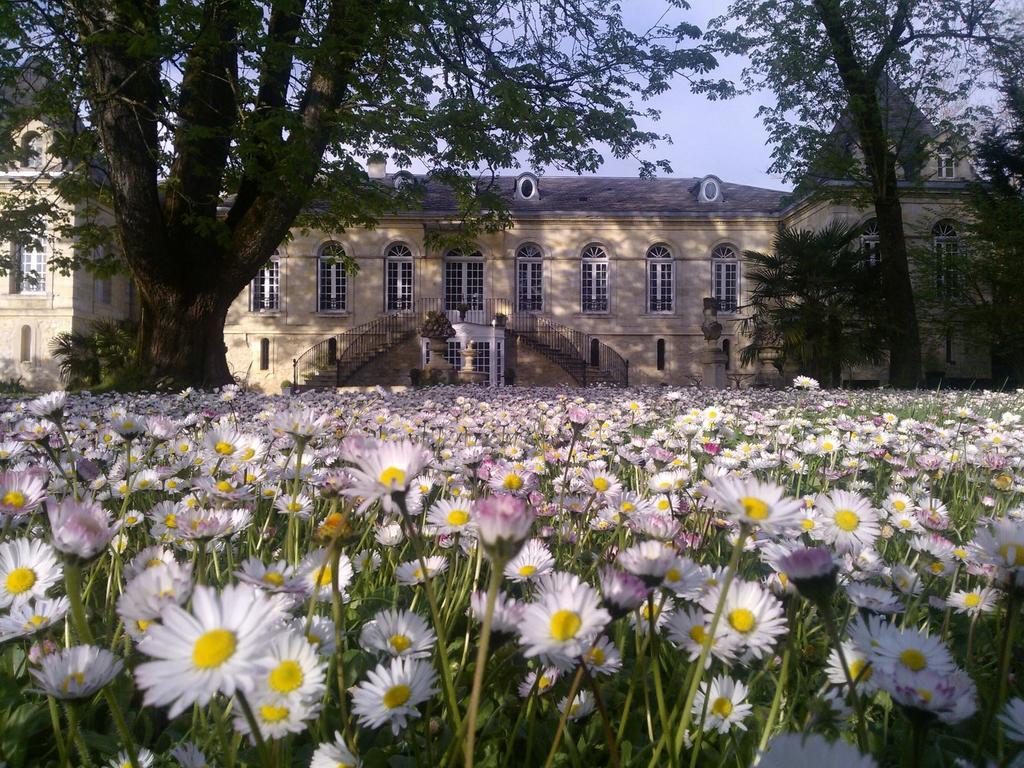 Chambres D'Hotes La Chartreuse Des Eyres Podensac Esterno foto